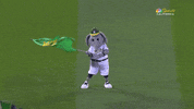 Major League Baseball Win GIF by MLB