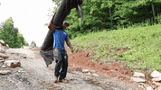 JCPropertyProfessionals strong flex muscle lift GIF