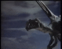 battle for endor wicket GIF by mdleone