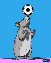 Football Soccer GIF by Moby