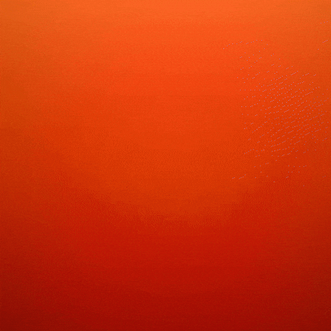 Animation Bloom GIF by Bloomscroll