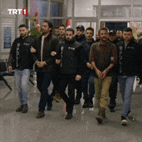Hands-Up Police GIF by TRT