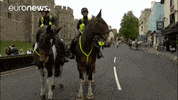 Police Horses GIF by euronews