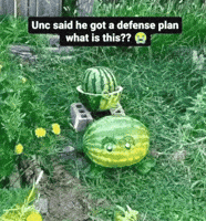 What Is This Watermelon GIF