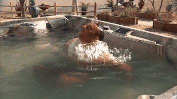 Hot Tub Love GIF by The Bachelorette