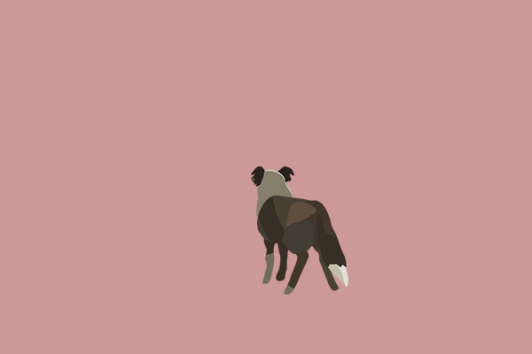 Animation Antearrachthiar GIF by Matchbox Mountain