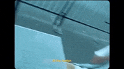 Gaslight Lvrn GIF by Eli Derby