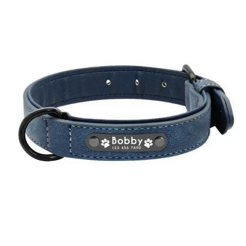 hugoscollars giphygifmaker dog hugo dog collar GIF