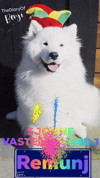 Carnaval GIF