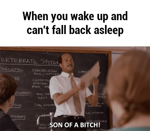 cant follow back GIF