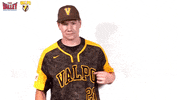 The Valley Mvc GIF by Missouri Valley Conference