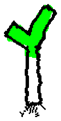 Green Onion Vegetable Sticker