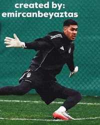 Goalkeeper GIF