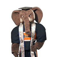california state university fullerton elephant Sticker by Cal State Fullerton