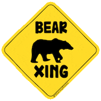 Alaska Air Bear Sticker by Sharing Alaska