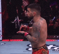 El Matador Sport GIF by UFC