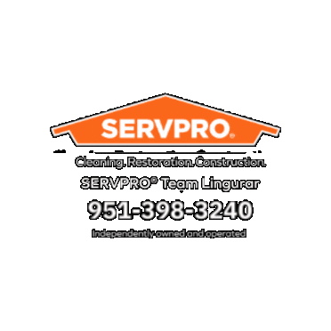 Servpro10100 giphygifmaker servpro Sticker