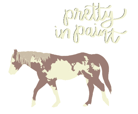 Paint Horse Sticker by Molly Virginia Morris Photography