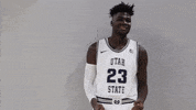 Usuqueta GIF by USUAthletics