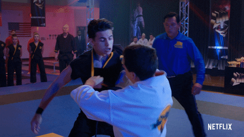 Cobra Kai Karate GIF by NETFLIX
