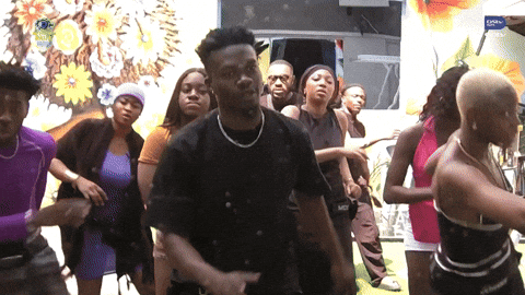 Bbnaija GIF by Big Brother Naija