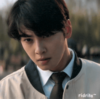Cha Eunwoo Korean Actor GIF