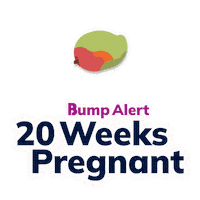 Sticker by The Bump