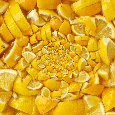 Soak Lemon Juice GIF by Feliks Tomasz Konczakowski