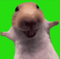Hamster Laughing GIF