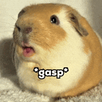 No Way Wow GIF by Respective