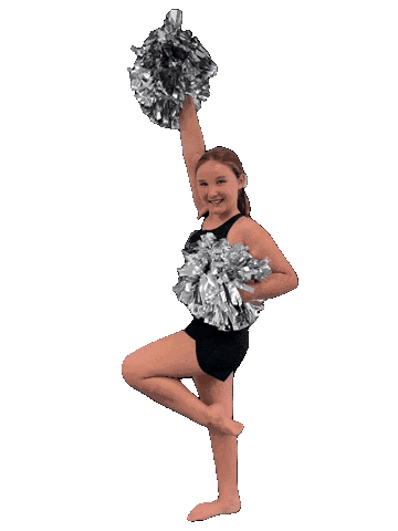 Elevateallstar Sticker by ElevateDanceSpace