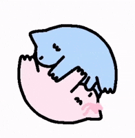 Cat Nub GIF