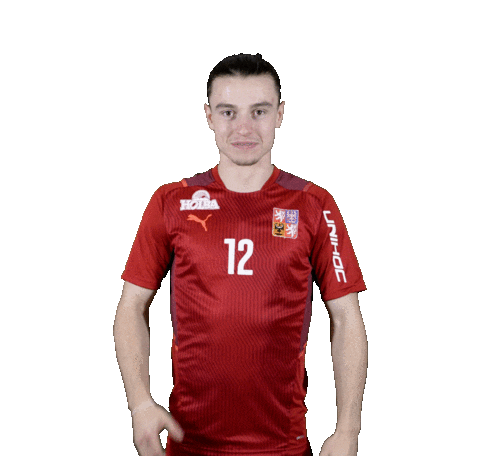 Florbal 2022 Sticker by Český florbal