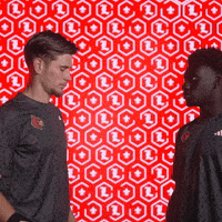 Go Cards GIF by Louisville Cardinals