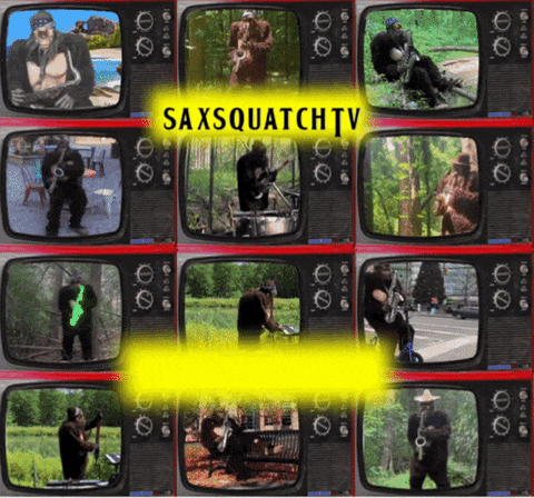 Bigfoot Saxophone GIF by saxsquatch