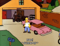 homer simpson episode 23 GIF