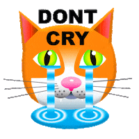 Cat Love Sticker by PEEKASSO