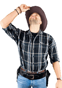 Looking Wild West Sticker