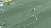 santos fc GIF by Santos Futebol Clube