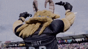 Usl Championship Mascot GIF by Switchbacks FC