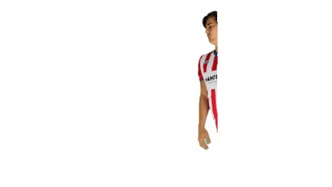 Svp9 Sticker by De Kaascoman