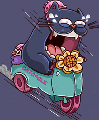 Dwarf-Factory cat cats run bike GIF