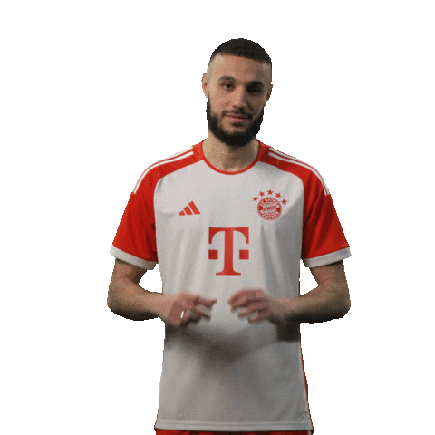 Football Love Sticker by FC Bayern Munich