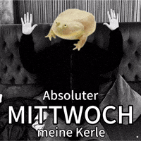 Heinz Its Wednesday GIF