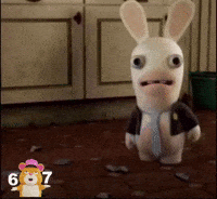 Lapin Cretin GIF