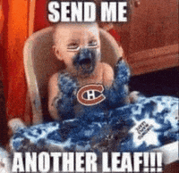 Toronto Maple Leafs Hockey GIF