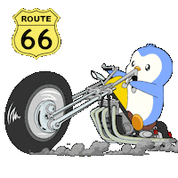 New Mexico Penguin Sticker by Pudgy Penguins