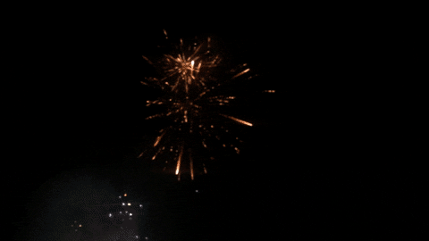 Celebrate Independence Day GIF by emibob