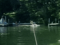 last ride in GIF by Green Day