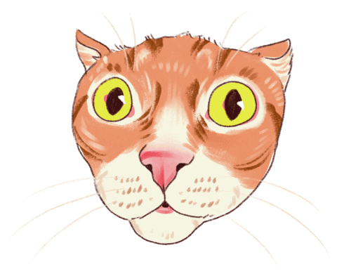 Surprised Big Eyes Sticker